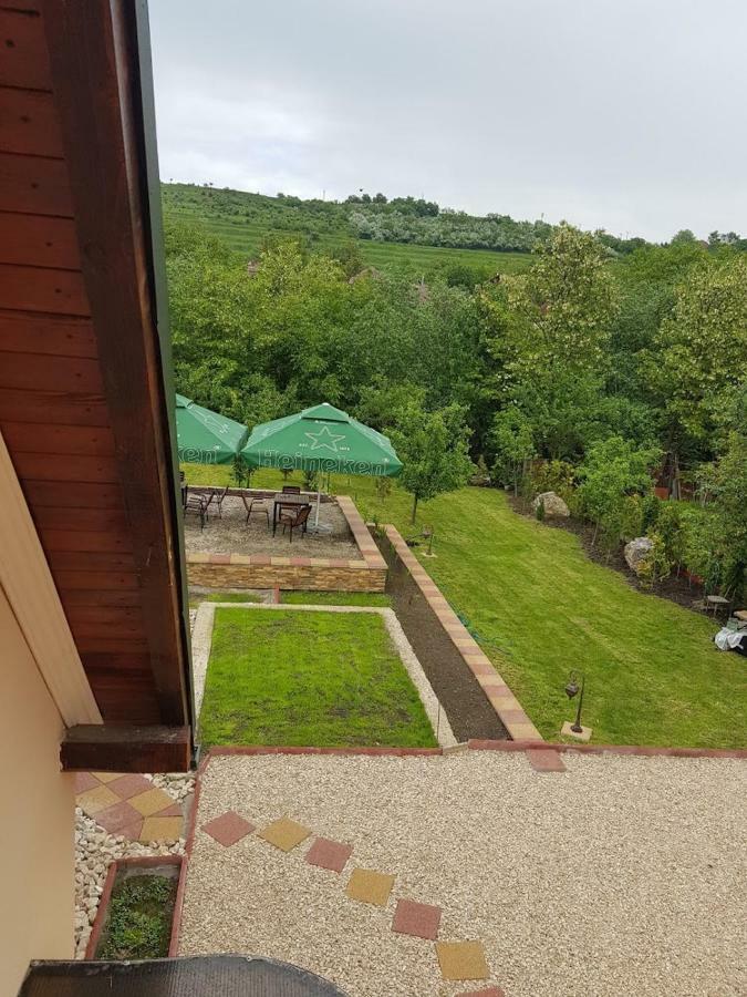 Pensiunea Brazi Turda Dış mekan fotoğraf