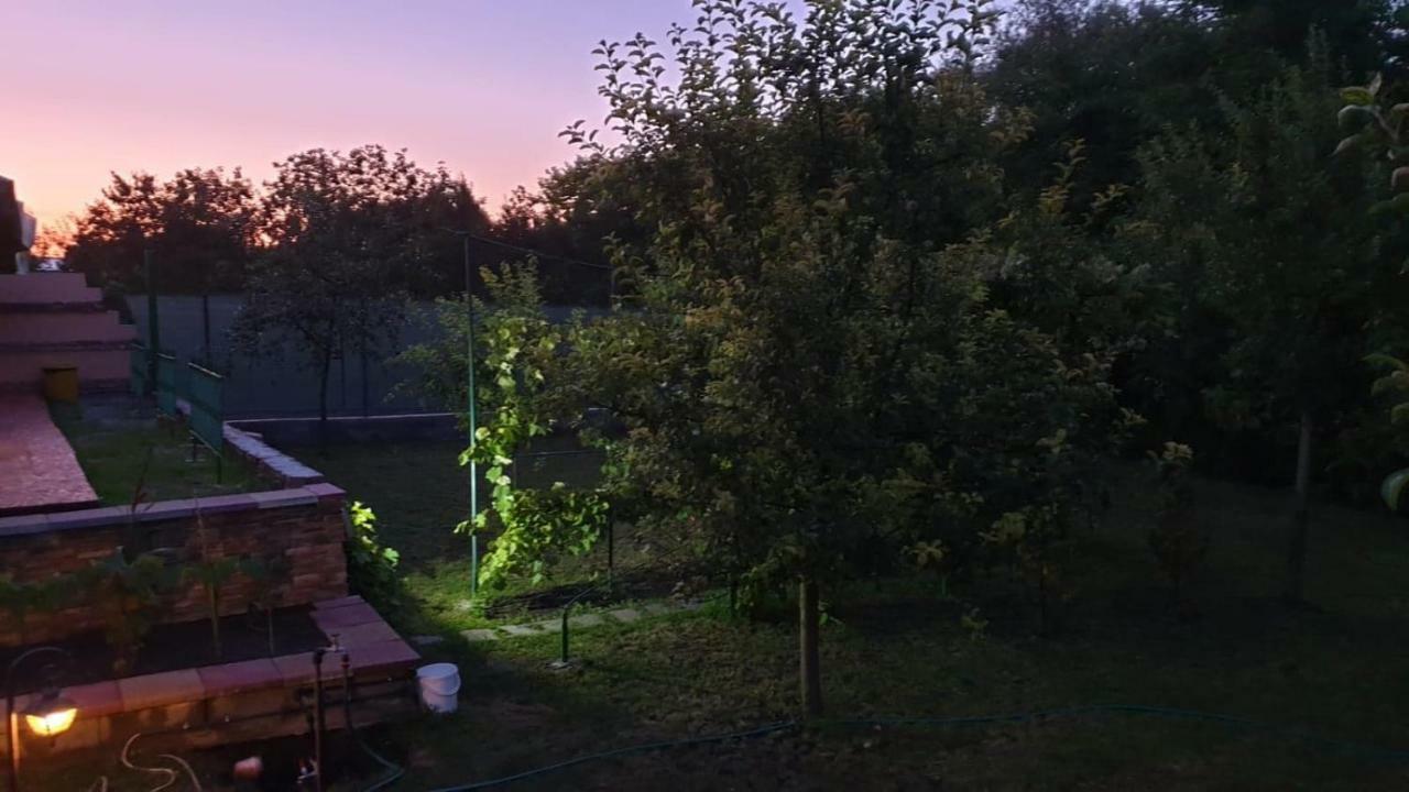 Pensiunea Brazi Turda Dış mekan fotoğraf